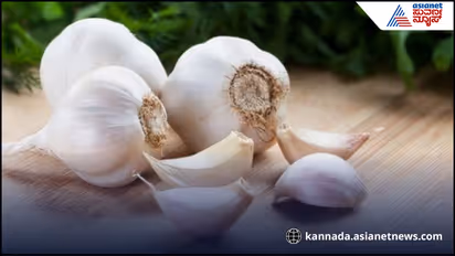 Garlic