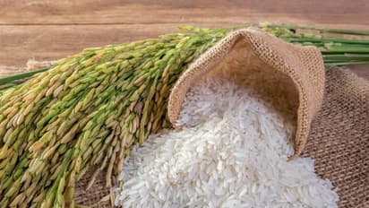 the story behind the World s most expensive rice
