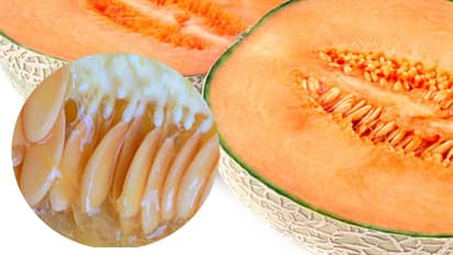 Shahi Gravy for using Melon Seeds