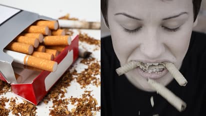 World-No-Tobacco-Day-2025-harmful-foods