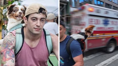 NYC Cop Stops Cyclist Riding With Two Dogs, Then Does Something That Leaves Internet Smiling