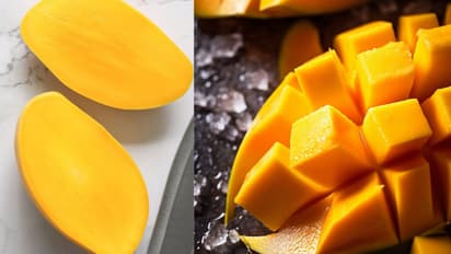 mango cutting tricks 