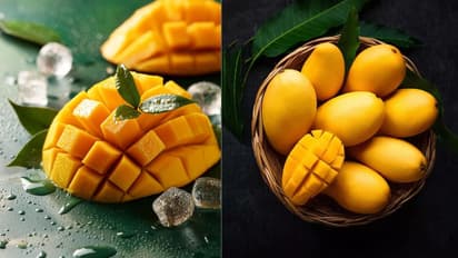 mango cutting tricks  1