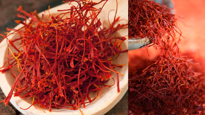 real saffron  identify tips  