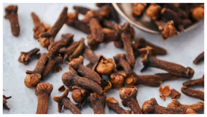 cloves 