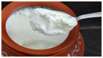 curd 