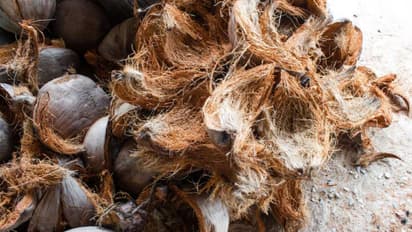 coconut husk reuse idea