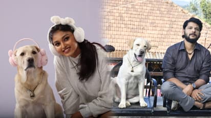 ನಾನು ಮತ್ತು ಗುಂಡ 2 ಸಿನಿಮಾ ವಿಮರ್ಶೆ: ನಾಯಿ ನಿಯತ್ತು ಮತ್ತು ಮನುಷ್ಯ ಪ್ರೀತಿ