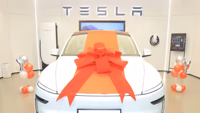 Tesla India, Tesla India Safety, Tesla India Sales