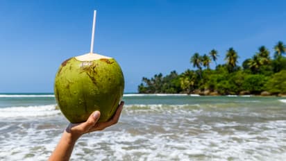 coconut water