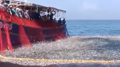 Kollam fishing video