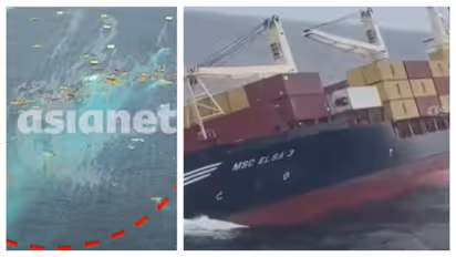 MSC Elsa 3