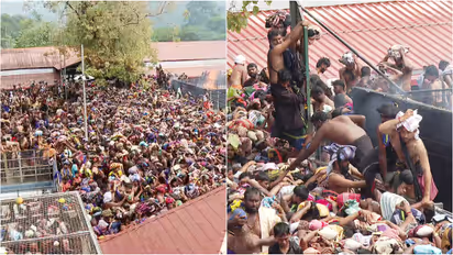 sabarimala crowd