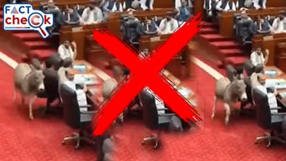 AI Generated Video of Donkey in Pakistan Parliament 