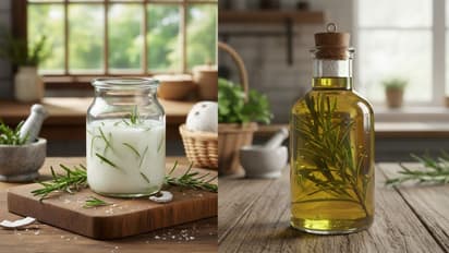 rosemary oil for winter hair fall control