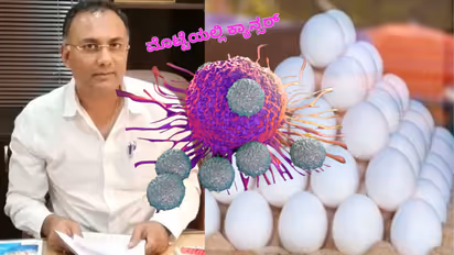 Karnataka Eggozy egg Cancer