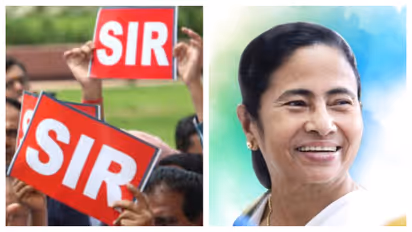 CM Mamata Banerjee has instructed BLAs to conduct door to door scrutiny in Bhabanipur