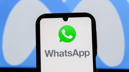 WhatsApp New Early Access Feature Switch