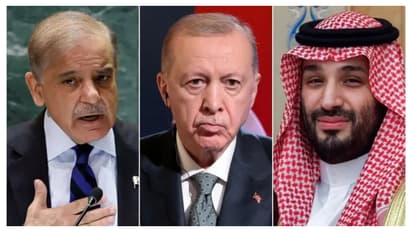 Saudi Pakistan Turkey Form NATO Style Military Alliance