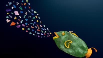 Microplastics