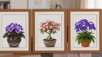 Flowering Indoor Plants