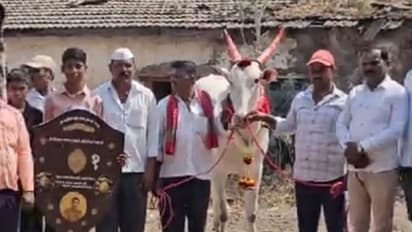 Karnataka Farmer Hosts Grand Birthday Party for His Ox