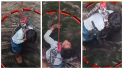 Brave Boy in Bihar Rescues Lamb from 40 Foot Well in Viral Video