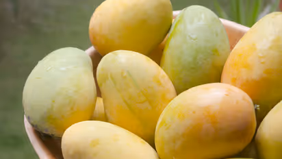 mangoes