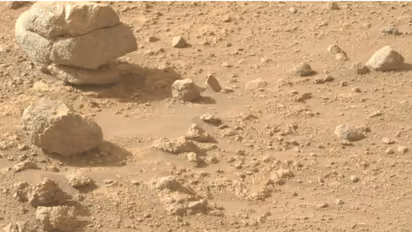 Mars Rock