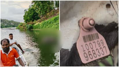 Outrage grows after cruel incident