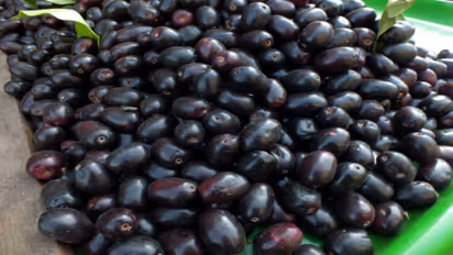can diabetic and bp patients eat jamun fruit