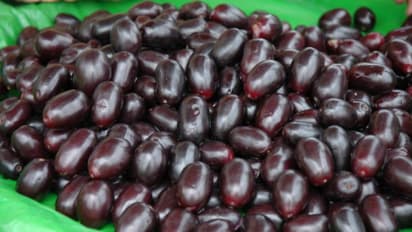 can diabetic and bp patients eat jamun fruit