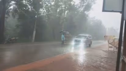 Rain Rain