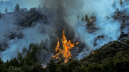 wildfire