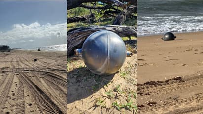 Mysterious Spheres Wash Up On Australian Beach