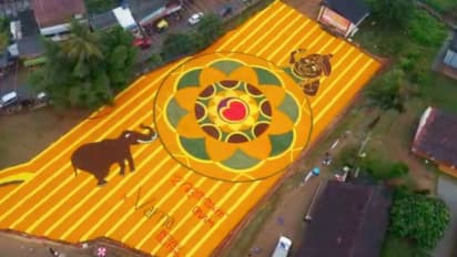 Wayanad village creates giant Onam pookkalam for elephant Maniyan