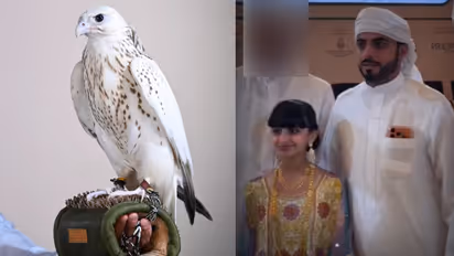 Father Spends 3.85 Crore Rupees on Rare White Falcon for Daughter in Abu Dhabi