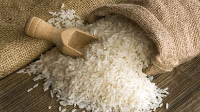 Rice price