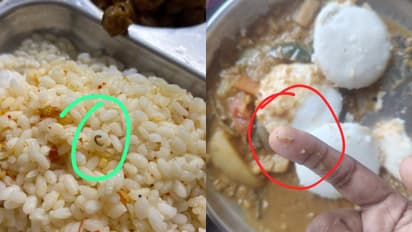 Kozhikode Government Law College Students Complain About Worms In Hostel Food