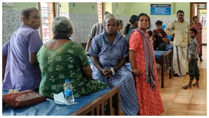 Wild Bee Attack Leaves 19 MGNREGA Workers Injured In Thiruvananthapuram