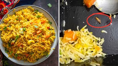 Cockroach in Pulav