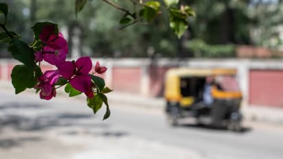 bengaluru auto/ Representative image