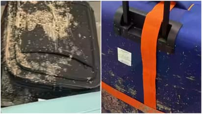 flight passengers complaint about luguage