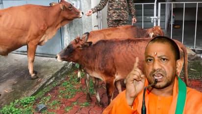 CM Yogi Adityanath