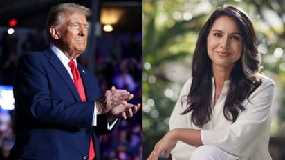 Donald Trump Tulsi Gabbard