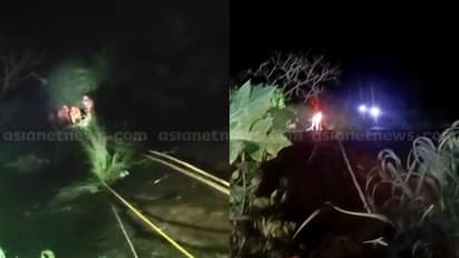 Wagamon Accident