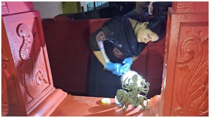 pachaloor temple idol