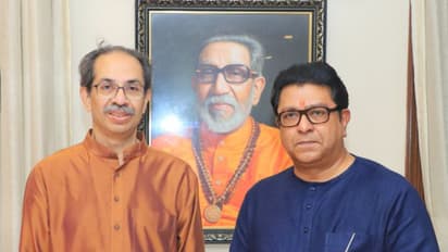 Raj Thackeray And Uddhav Thackeray