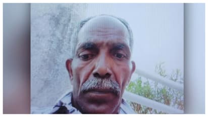 elephant attack death 