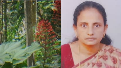 Woman dies of electrocution